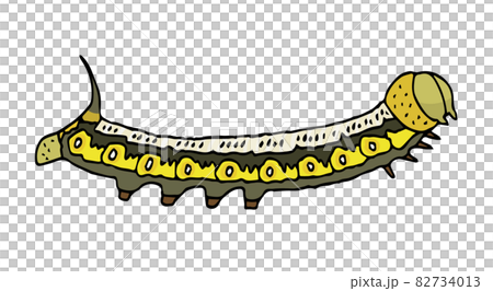 オオスカシバの幼虫 Pellucid hawk moth オオスカシバの幼虫 Pellucid hawk moth 82734013