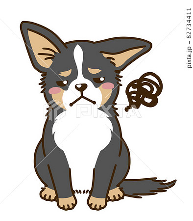 不満があるチワワ(トライカラー) 不満があるチワワ(トライカラー) 82734411