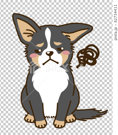 不満があるチワワ(トライカラー) 不満があるチワワ(トライカラー) 82734411