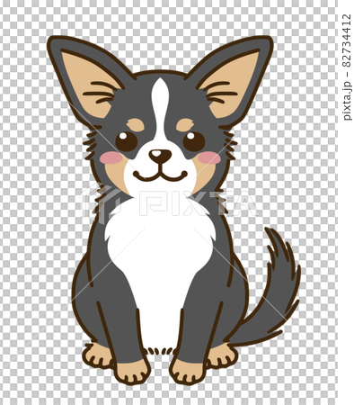 チワワ（トライカラー）のイラスト素材 [82734412] - PIXTA
