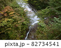 紅葉のしゃくなげの滝 奥四万湖縦 82734541