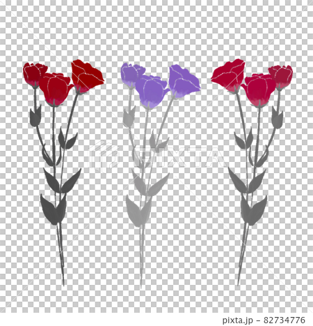 トルコキキョウの花柄3パターンのイラスト素材