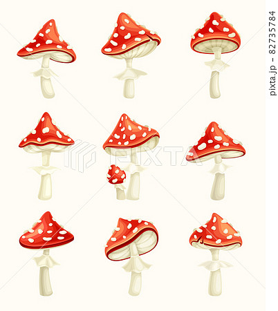Fly agaric poisonous mushrooms set . Amanita toadstools with red spotted cap cartoon vector illustration 82735784