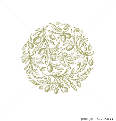 Olive plant in circle Vector texture fruit, leaves Olive plant in circle Vector texture fruit, leaves 82735833