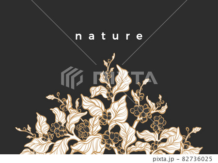 Template of branch of coffee tree. Vector illustration 82736025