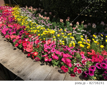 花壇 花壇 82736241