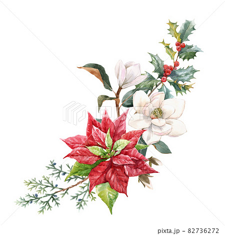 Beautiful floral christmas composition with hand drawn watercolor winter flowers such as red poinsettia holly. Stock 2022 winter illustration. 82736272