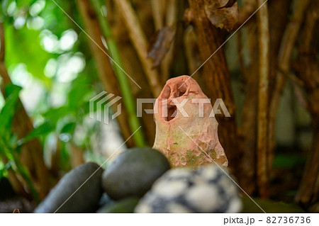 はにわ はにわ 82736736