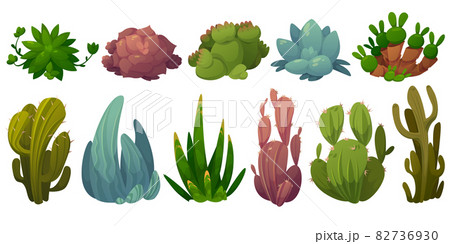 Set of cactus, desert flowers opuntia, monilaria, 82736930