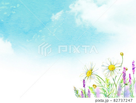 青空と花畑 水彩イラストのイラスト素材