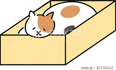 箱に入る猫　箱　ねこ　箱に入る 82738312
