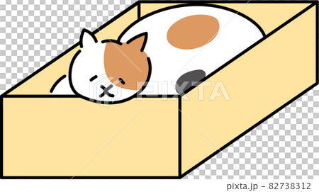 箱に入る猫　箱　ねこ　箱に入る 82738312