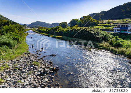 静岡県伊豆市狩野川の鮎釣り 82738320