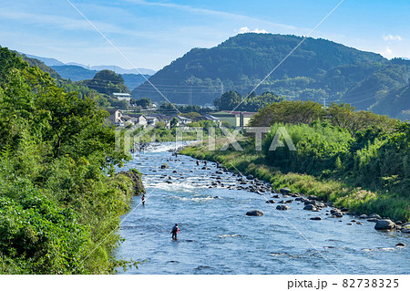 静岡県伊豆市狩野川の鮎釣り 82738325