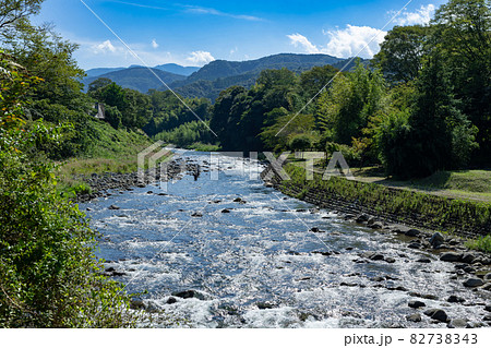 静岡県伊豆市狩野川の鮎釣り 82738343