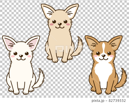 有各種毛色的奇瓦瓦 82739332