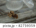 ドライフラワーと小物入れ 82739359