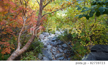 涸沢カールからの風景 82739723