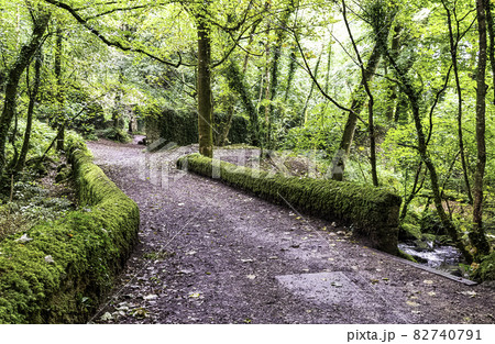 Bridge over Kennall river in Kennall Vale Nature Reserve, Ponsanooth, Cornwall, United Kingdom 82740791
