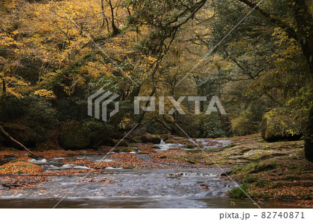 菊池渓谷の紅葉 82740871