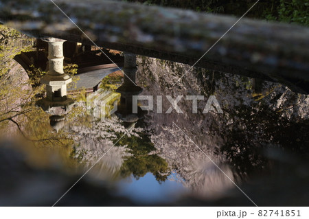 滋賀県彦根市にある井伊神社の手水舎に映り込む枝垂れ桜と神社の祠と石灯籠 滋賀県彦根市にある井伊神社の手水舎に映り込む枝垂れ桜と神社の祠と石灯籠 82741851