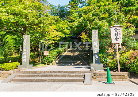 鎌倉　円覚寺 82742305