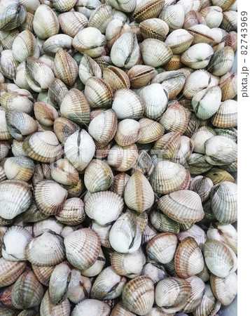 Background of anadara bivalve mollusk or Heart-shaped on the counter in the store. 82743969