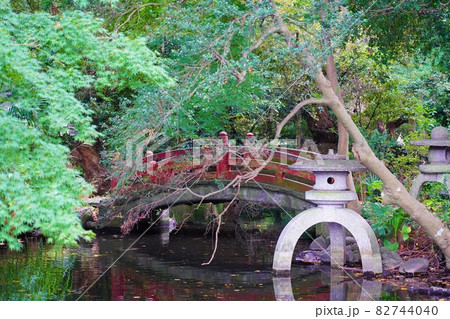 当麻山 無量光寺 庭園の池 82744040