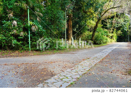 当麻山 無量光寺 参道 82744061