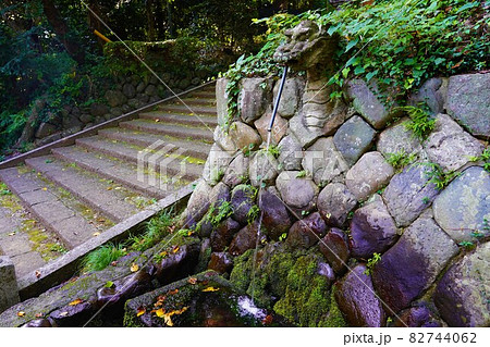当麻山 無量光寺 手桶棚 当麻山 無量光寺 手桶棚 82744062