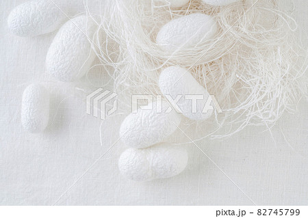 silk cocoons the commercially bred caterpillar of silkworm moth 82745799