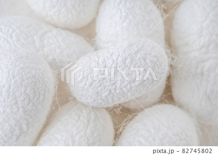 white silkworm cocoons shells, source of silk fabric as a background with selective focus white silkworm cocoons shells, source of silk fabric as a background with selective focus 82745802