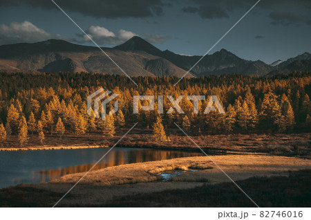 Beautiful lake in the yellow larch forest. Fall season. 82746016