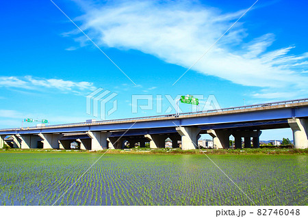 豊田市、水田と豊田ジャンクションの風景 豊田市、水田と豊田ジャンクションの風景 82746048