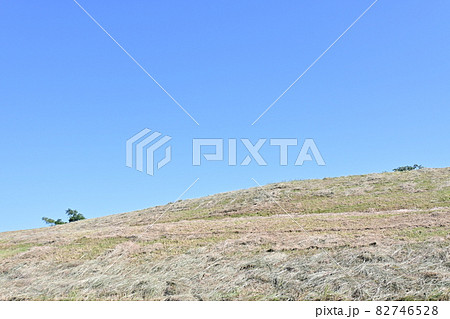 除草作業が終わった河川敷 82746528