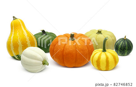 かぼちゃ ハロウィン おもちゃかぼちゃ イラスト リアル セット 82746852