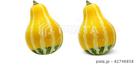 かぼちゃ ハロウィン おもちゃかぼちゃ イラスト リアル 単体 かぼちゃ ハロウィン おもちゃかぼちゃ イラスト リアル 単体 82746858