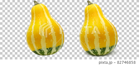 かぼちゃ ハロウィン おもちゃかぼちゃ イラスト リアル 単体 かぼちゃ ハロウィン おもちゃかぼちゃ イラスト リアル 単体 82746858