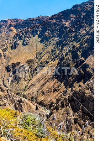 Scenery of the Colca Canyon in Peru 82747662