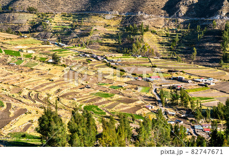 Terraced fields at Huambo near the Colca Canyon in Peru 82747671