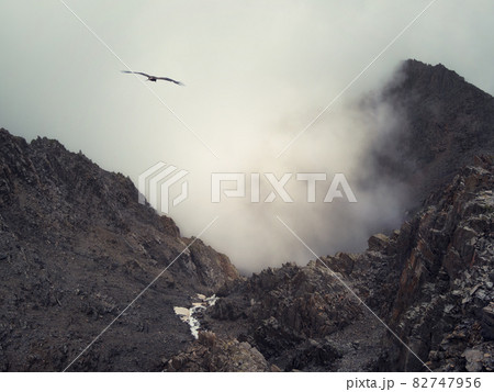 Horror mountain shadows. Dramatic fog among giant rocky mountains. Ghostly atmospheric view to big cliff. Low clouds and beautiful rockies. Minimalist scenery mysterious place. Horror mountain shadows. Dramatic fog among giant rocky mountains. Ghostly atmospheric view to big cliff. Low clouds and beautiful rockies. Minimalist scenery mysterious place. 82747956