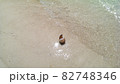 夏の思い出～夏の終わりに旅先の沖縄の海で拾った貝殻～ 82748346