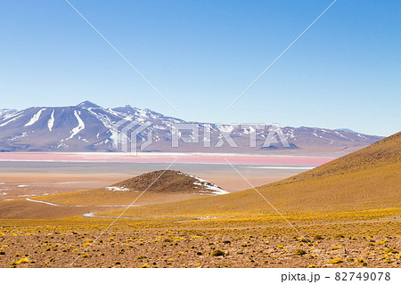 Laguna Colorada view, Bolivia 82749078