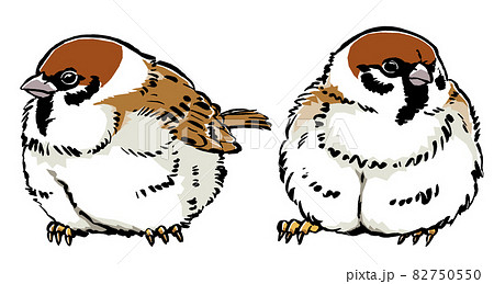 2羽のふくら雀　筆描き・マット塗り 82750550