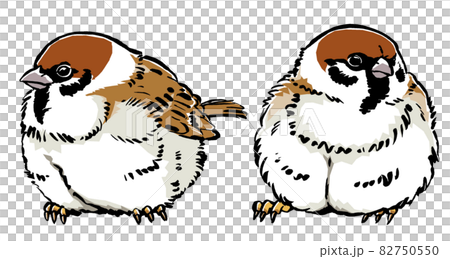 2羽のふくら雀　筆描き・マット塗り 82750550