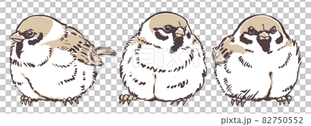 3 calf sparrows drawn with a brush and painted in 2 colors 82750552