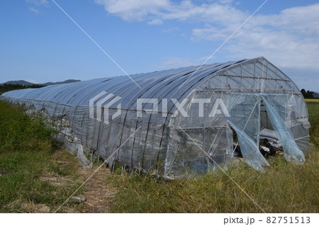 ビニールハウス 温室栽培 ビニールハウス 温室栽培 82751513