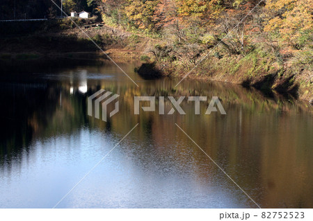 鳥取　四季の散歩　秋　佐治ダム 82752523
