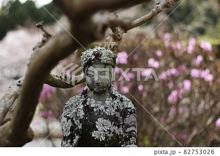 浜松市北区引佐町伊平 長興寺春お地蔵さん 浜松市北区引佐町伊平 長興寺春お地蔵さん 82753026
