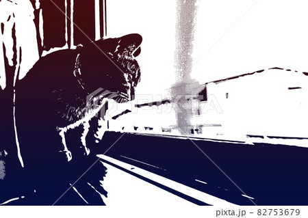 猫 ネコ ねこ キジトラ 白 グレー 子猫 雌 メス 雌ねこ 雌ネコ 雌猫 元気 かわいい 癒し 82753679